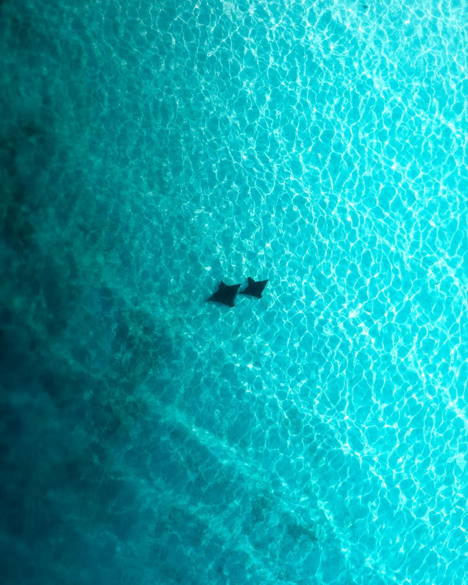 Araamu Holidays&Spa Dhiffushi Buitenkant foto